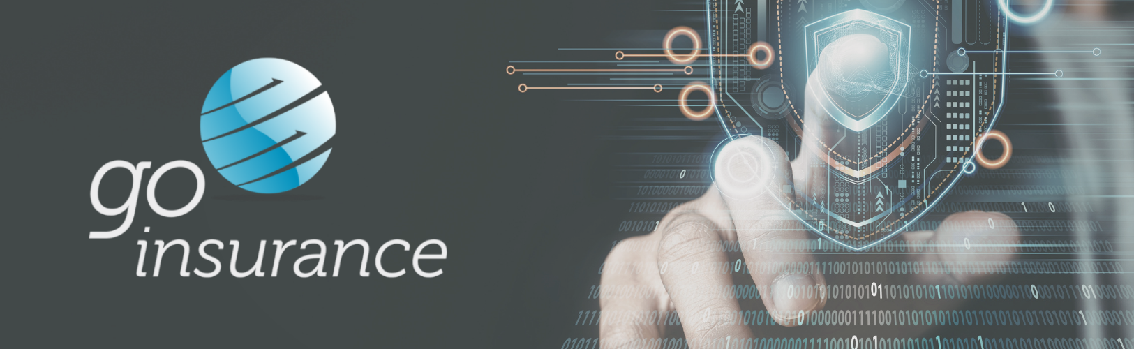 Go Insurance privacy policy — how we protect the personal information of Australian travellers